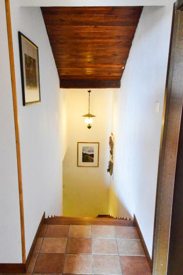 Apartment Zoja ปิเนซิตซี ภายนอก รูปภาพ