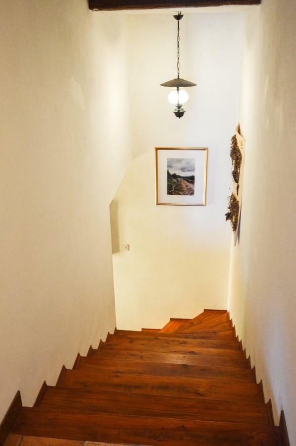 Apartment Zoja ปิเนซิตซี ภายนอก รูปภาพ
