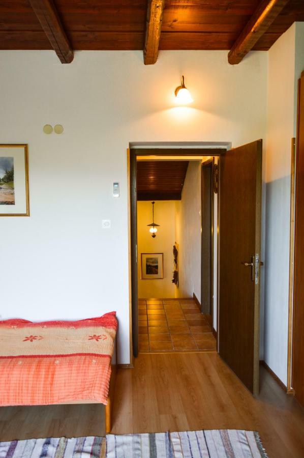 Apartment Zoja ปิเนซิตซี ภายนอก รูปภาพ